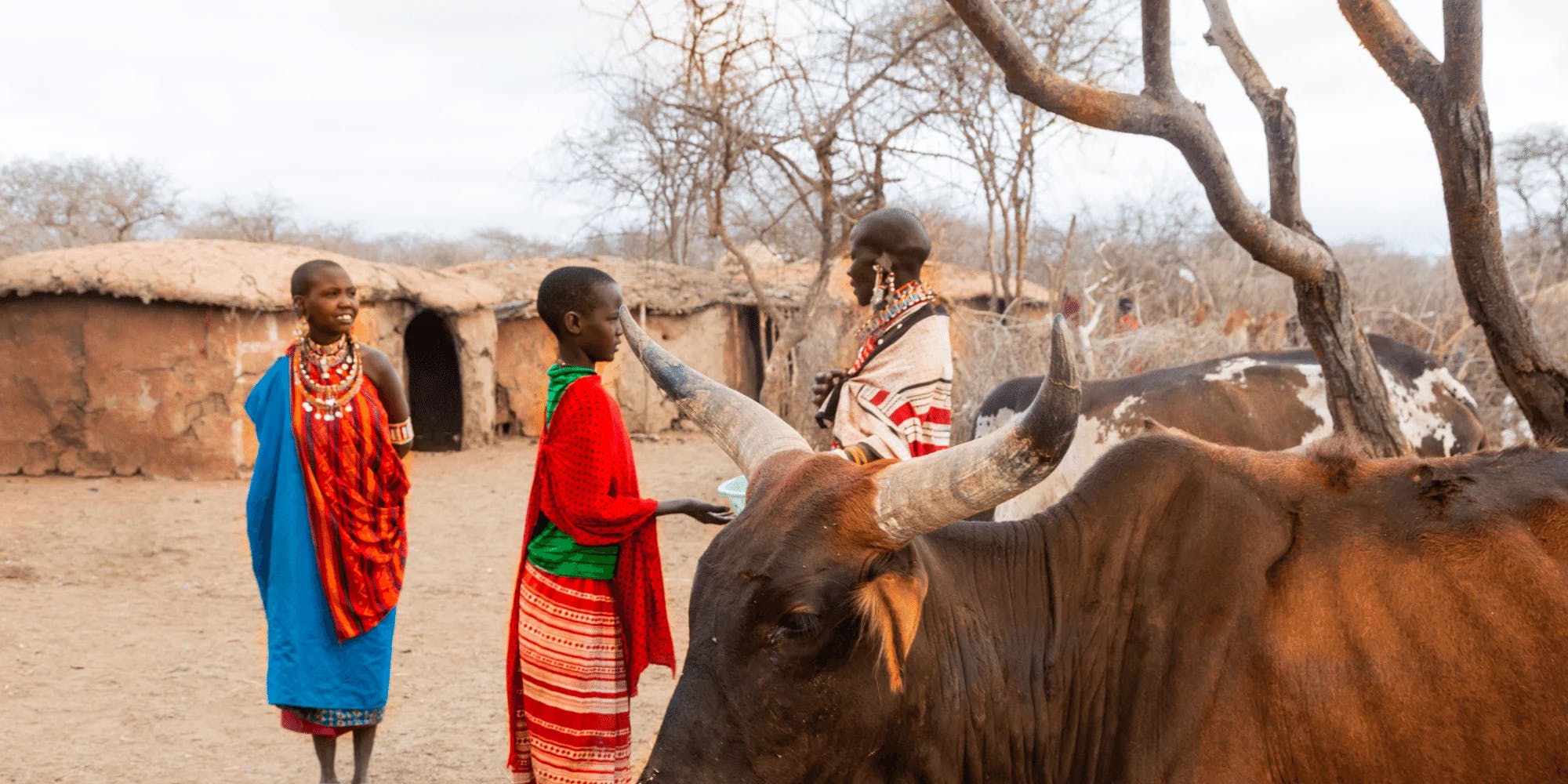 masaai village