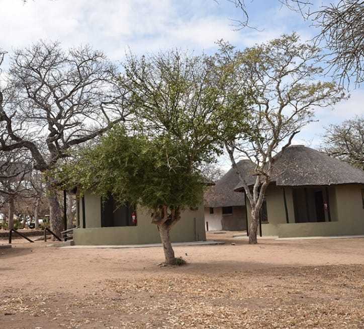 Kruger Safari Experience
