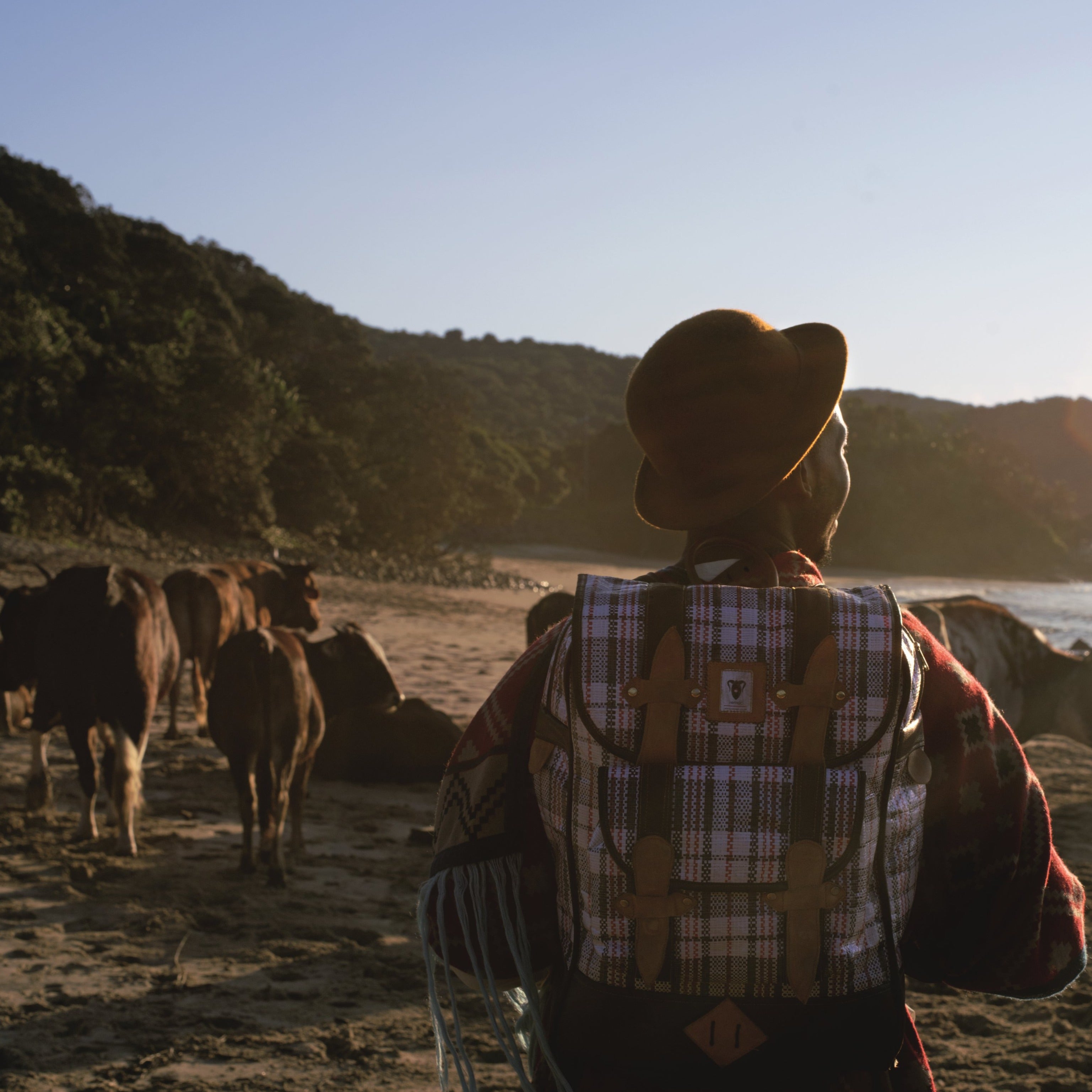 Garden Route: Western Cape Road Trip
