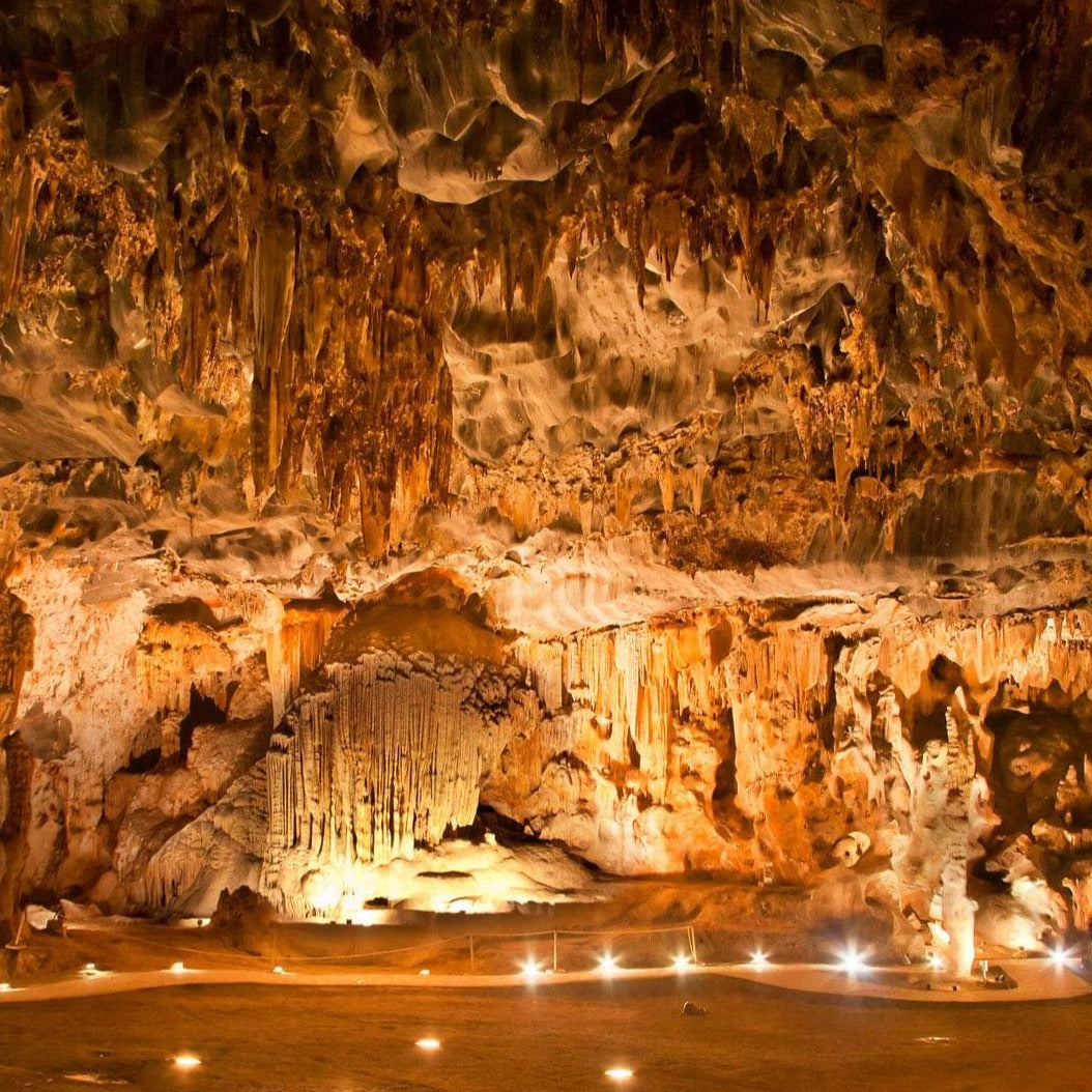 Garden Route: Western Cape Road Trip