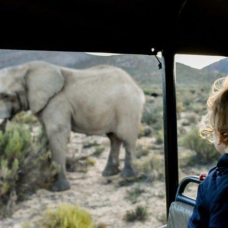 Garden Route: Western Cape Road Trip