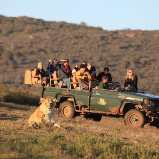 Garden Route: Western Cape Road Trip