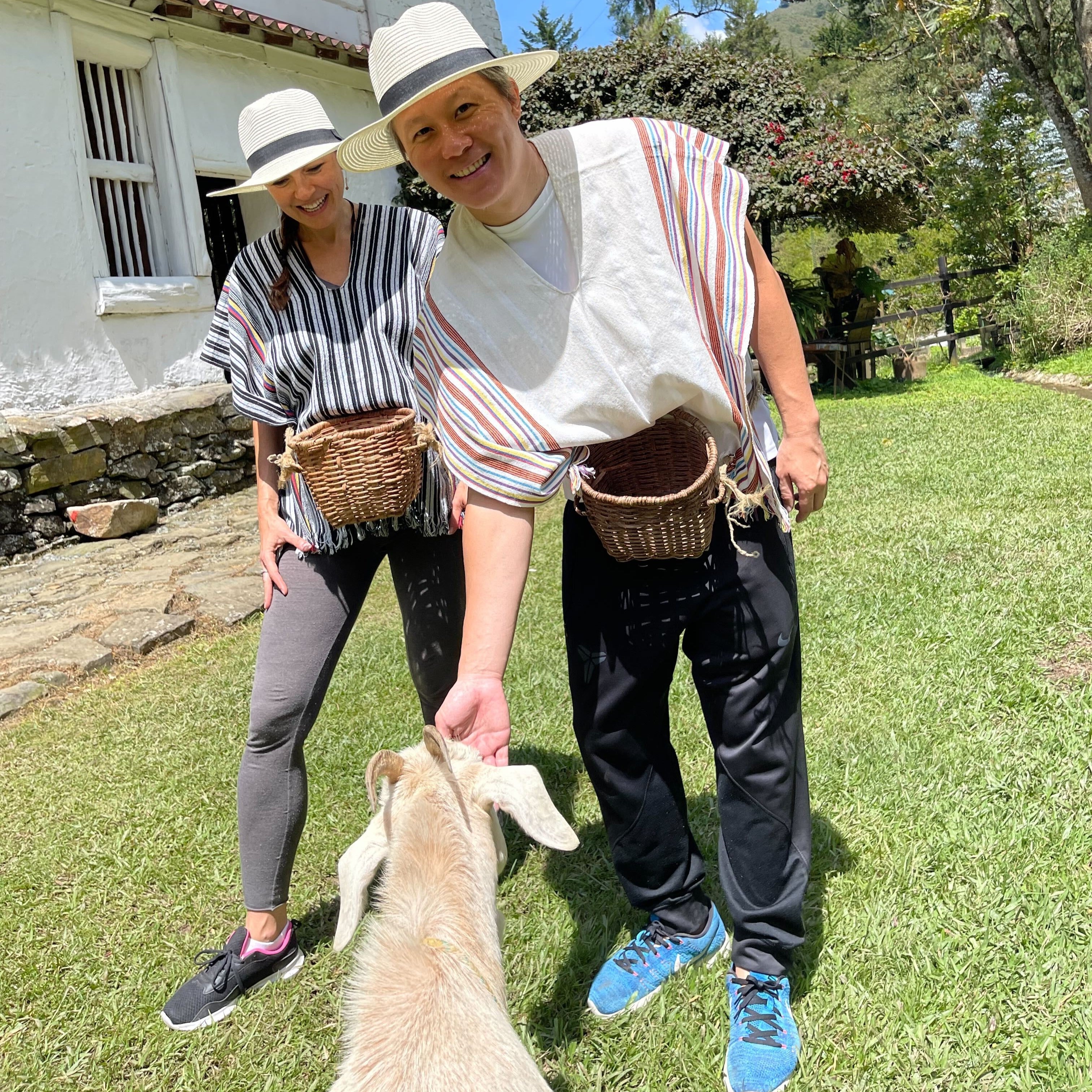 Coffee Farm Tour