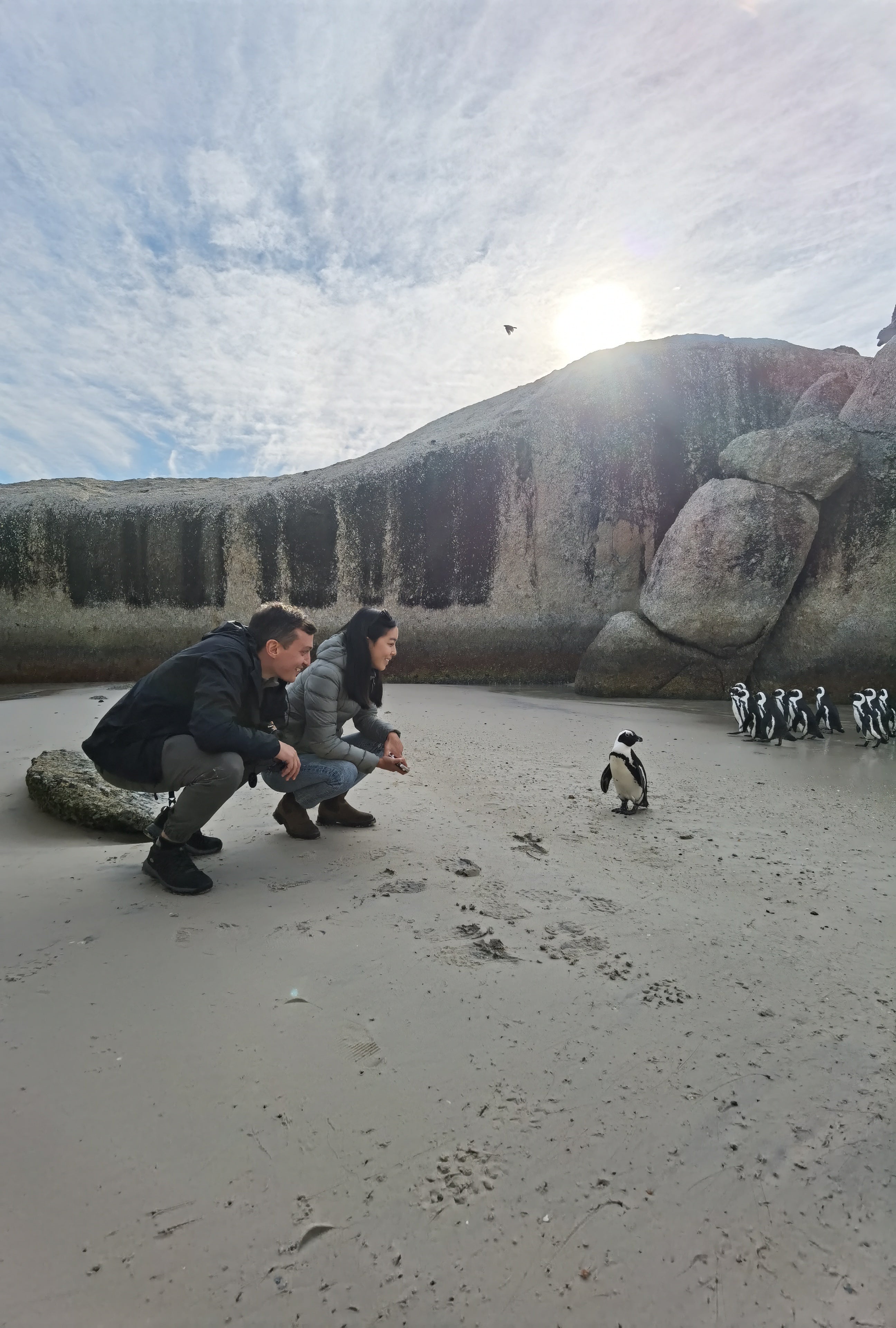 Penguins & Cape Point Day Tour