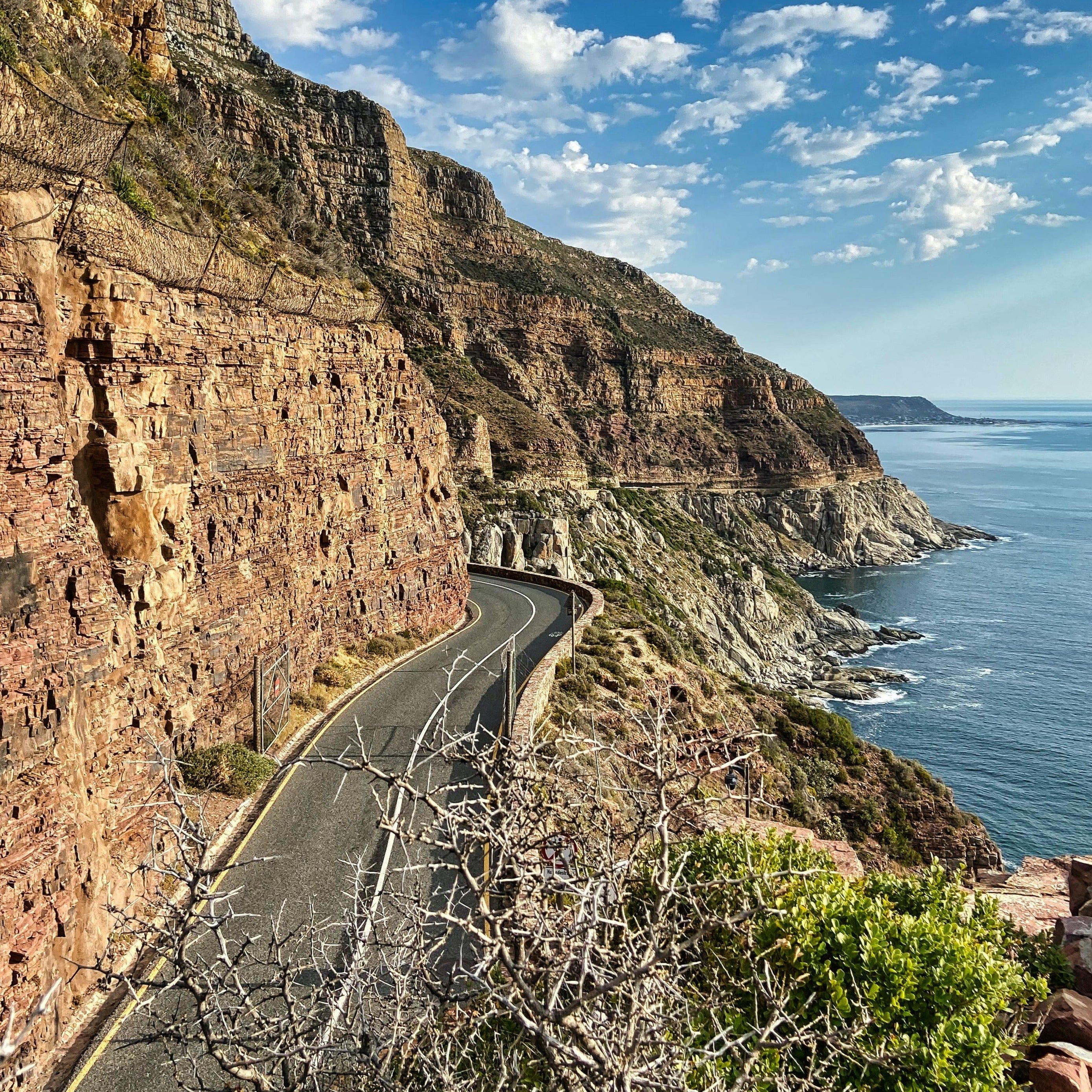 Penguins & Cape Point Day Tour