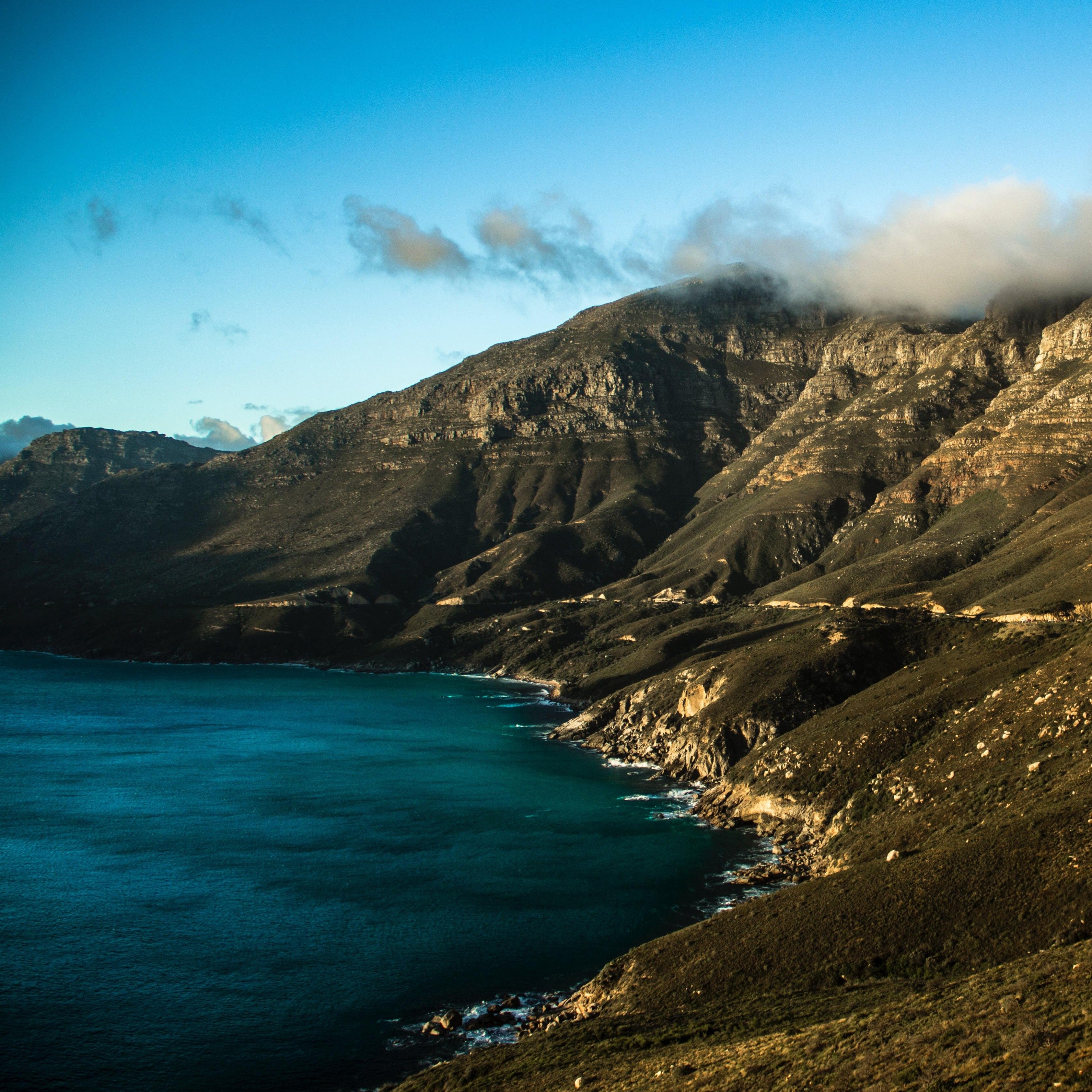 Penguins & Cape Point Day Tour