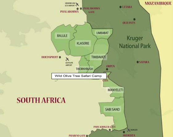 Kruger Safari Experience