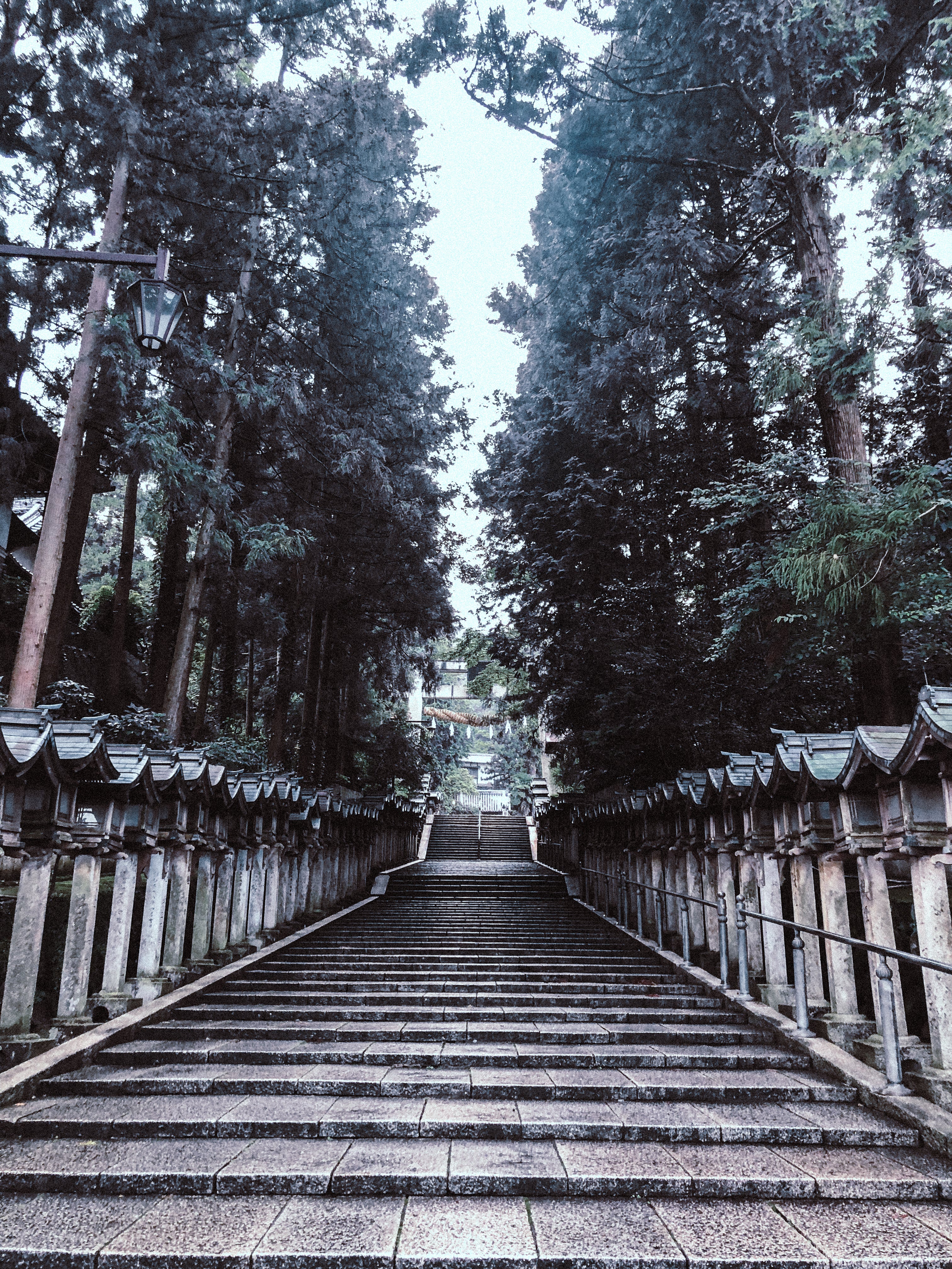 Hike: Ikoma and Hozanji Temple