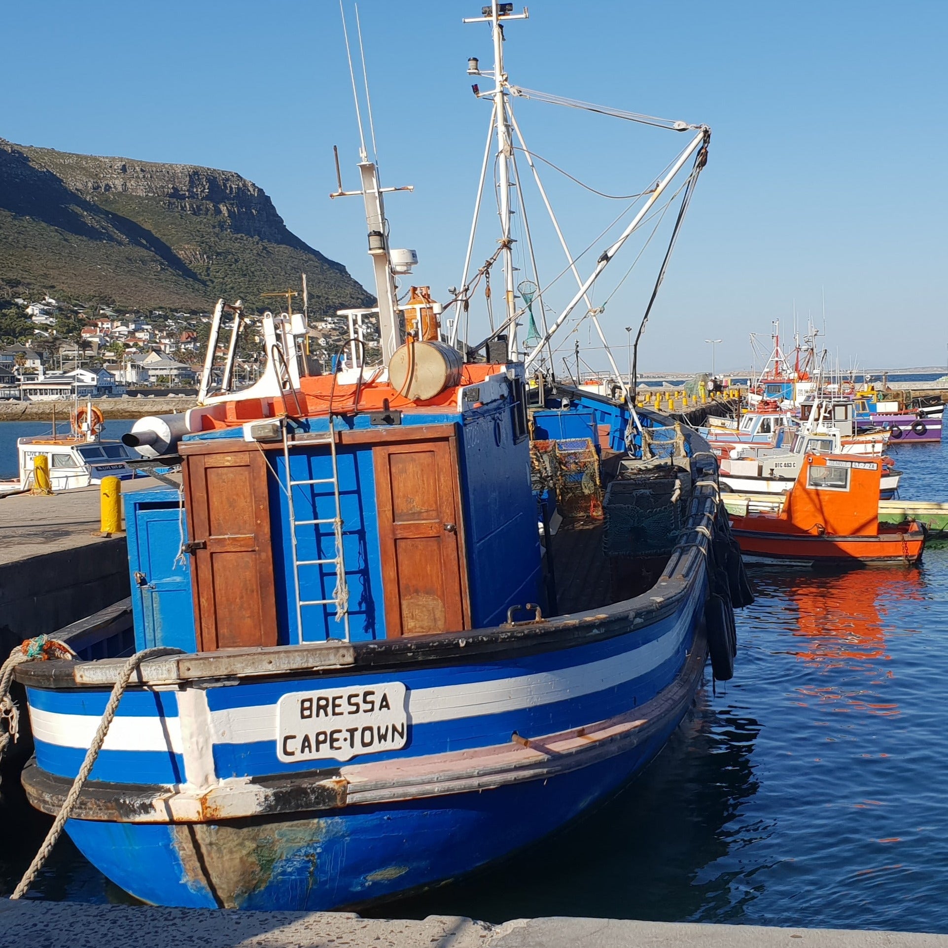 Kalk Bay Enchantment