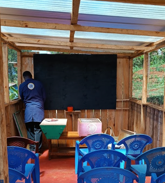 Muranga Bees & Village Visit