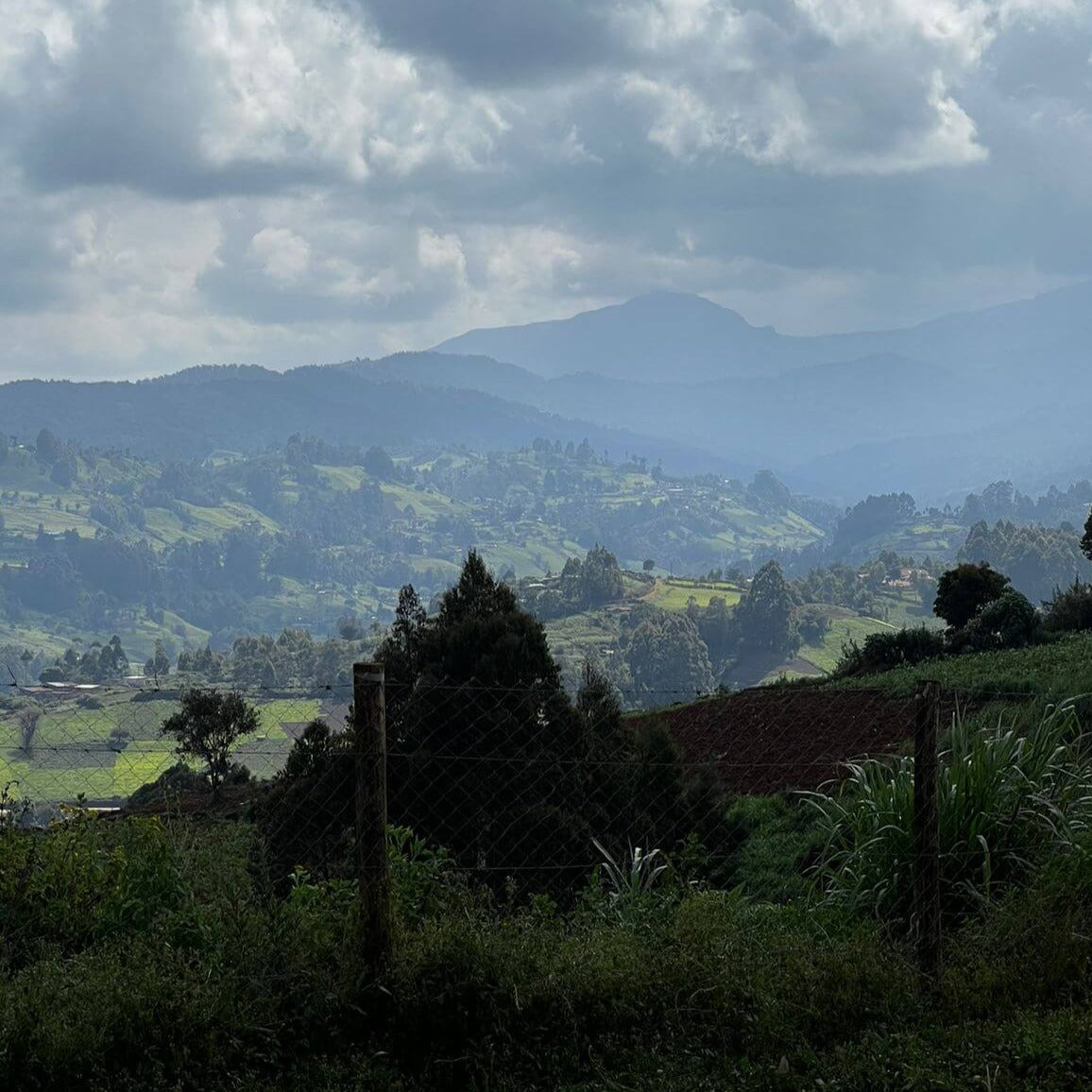 Muranga Bees & Village Visit