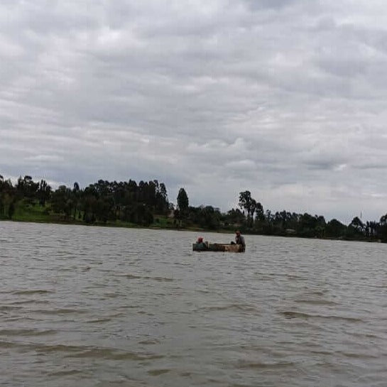 Muranga Bees & Village Visit