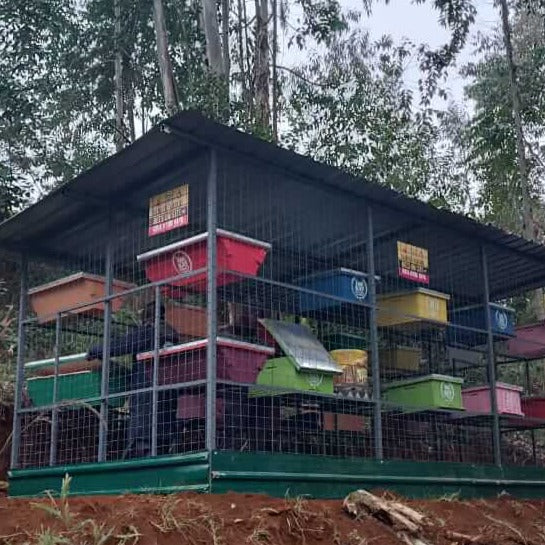 Muranga Bees & Village Visit